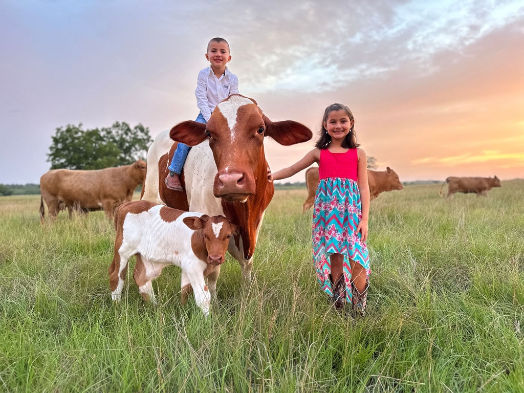 Two children with a cow and calf at golden hour on the ranch